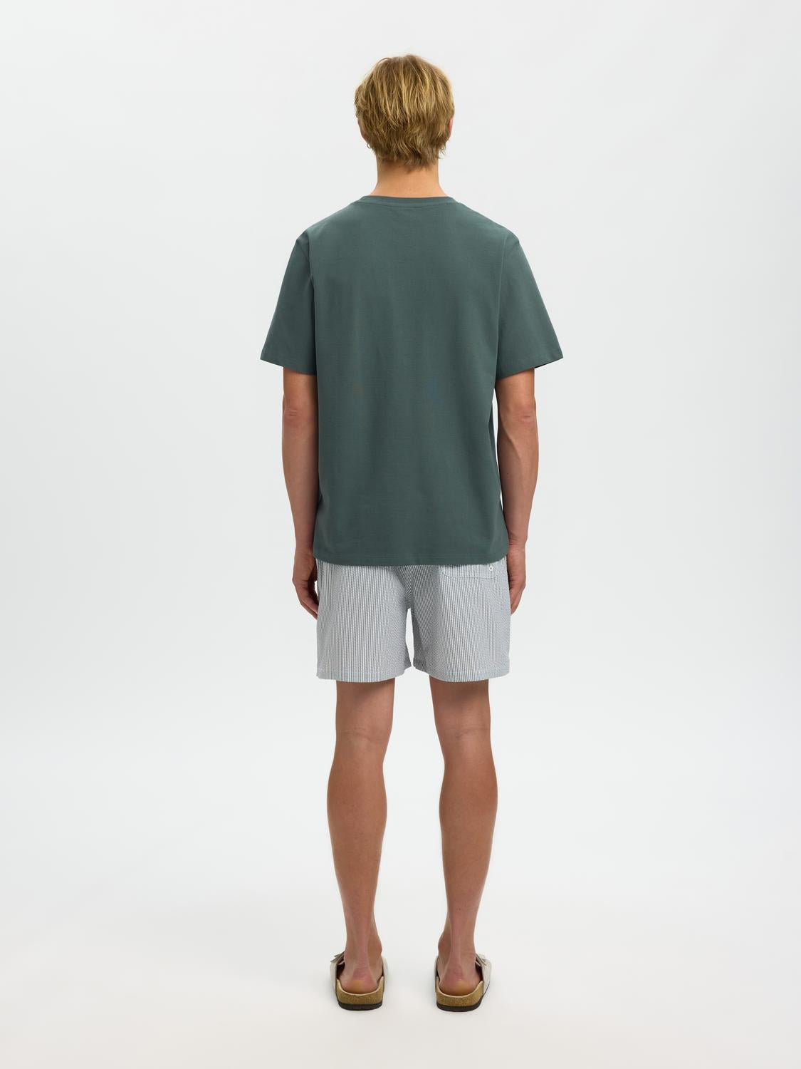 model_shot-back